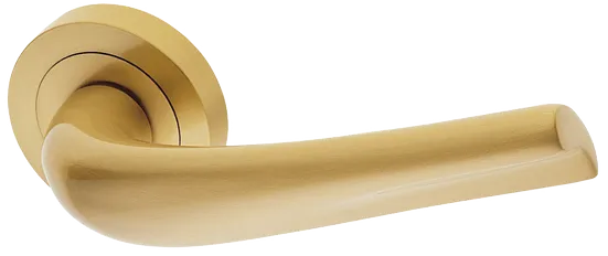 RAFT R2 OSA, ручка дверная, цвет - матовое золото фото купить Тольятти