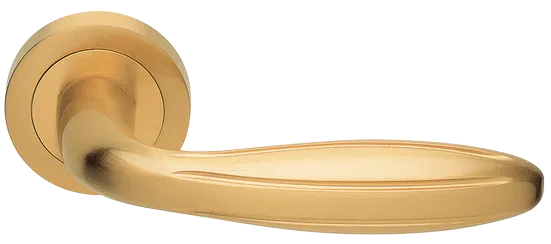 BUD R2 OSA, ручка дверная, цвет - матовое золото фото купить Тольятти