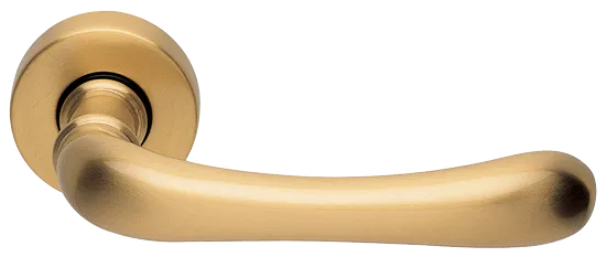 RING R3-E OSA, ручка дверная, цвет - матовое золото фото купить Тольятти