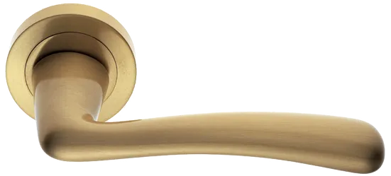 COCKATOO R2 OSA, ручка дверная, цвет - матовое золото фото купить Тольятти