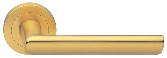 STELLA R2 OSA, ручка дверная, цвет - матовое золото фото купить Тольятти