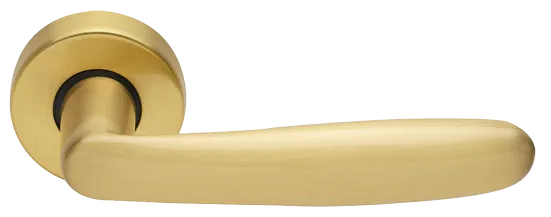 IMOLA R3-E OSA, ручка дверная, цвет - матовое золото фото купить Тольятти