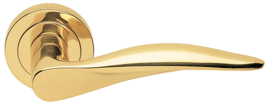 DALI R2 OTL, ручка дверная, цвет -  золото фото купить Тольятти